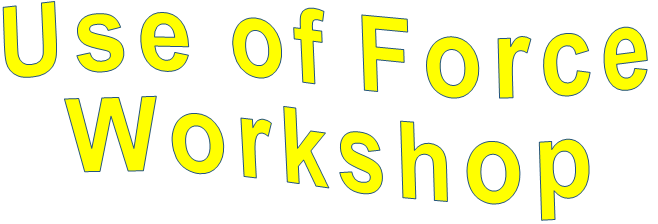Use of Force Workshop